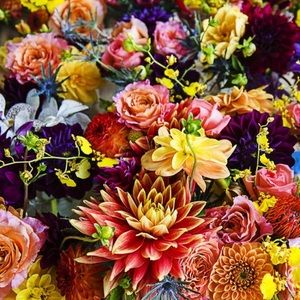 Meet your Posher, Marissa